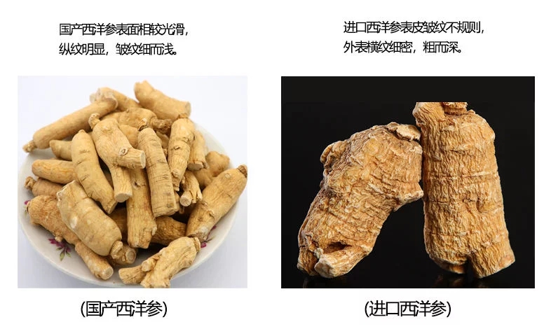 西洋参历史,西洋参的历史