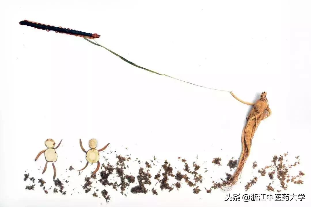 用镜头诉说中医药之美