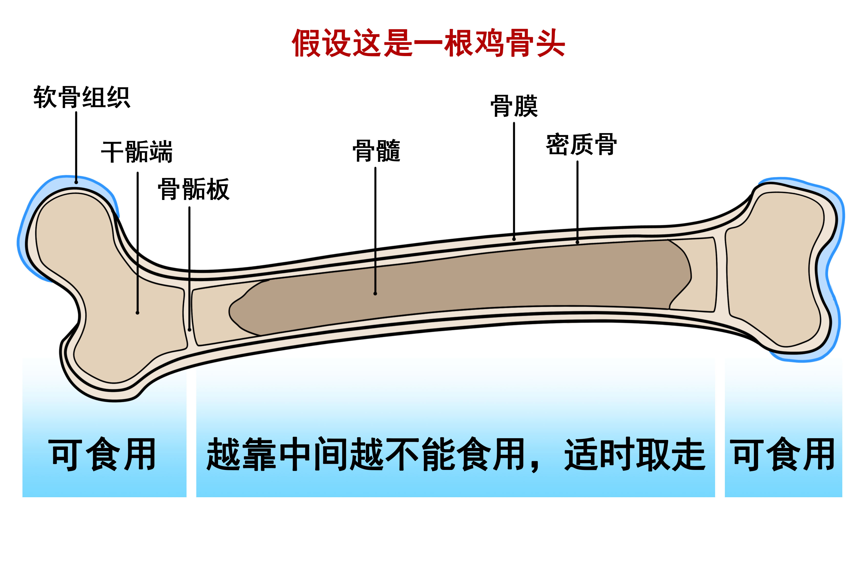 猫为什么要吃它尾巴,猫为啥要吃自己的毛