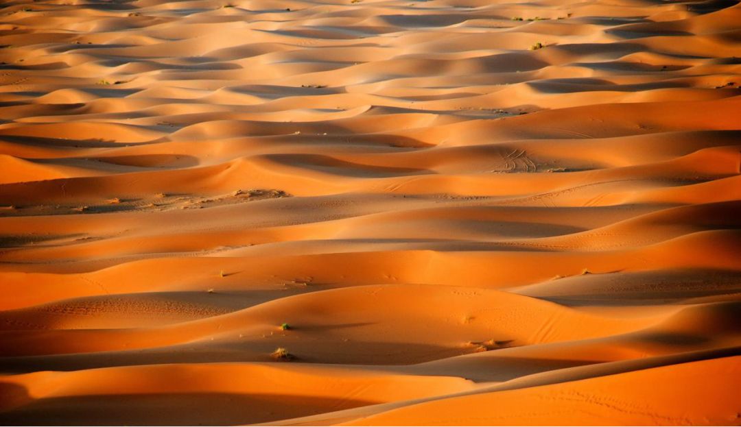 五彩卓尼自驾游攻略,摩洛哥旅游攻略大全