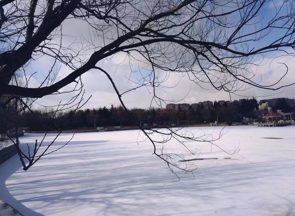 你与冬天有一场雪的距离,你与冬天之间差什么