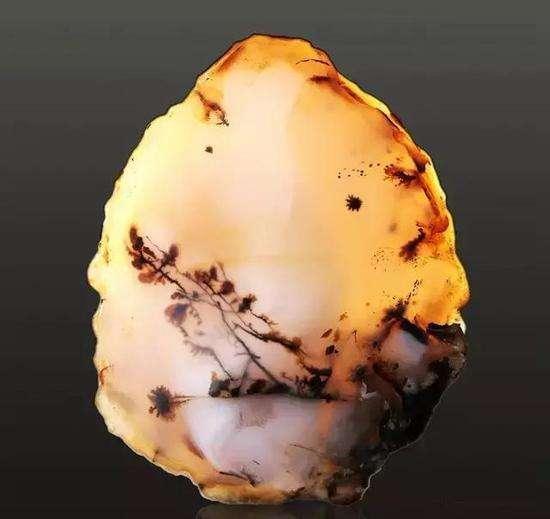 野生水草玛瑙图片,水草玛瑙珍贵品种