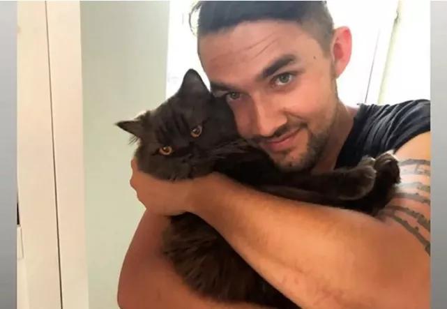 收养的猫特别像自己,领养的猫看着怎么像哈士奇呀