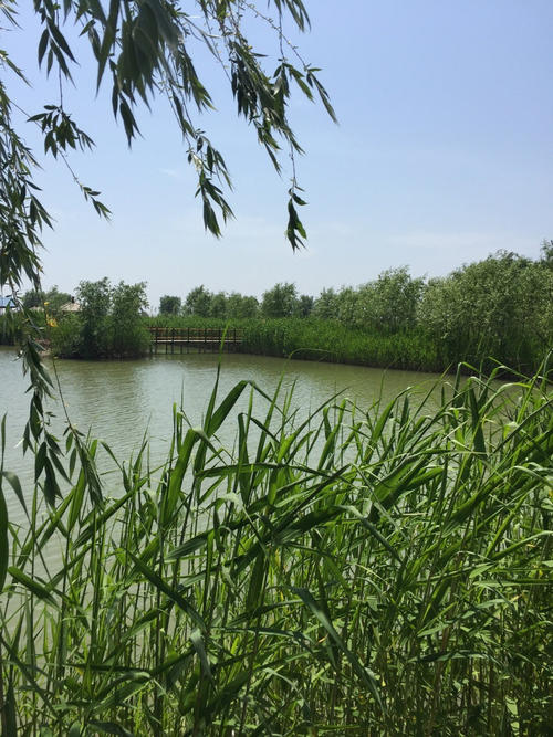 月亮湖的往事视频,月亮湖的往事全集