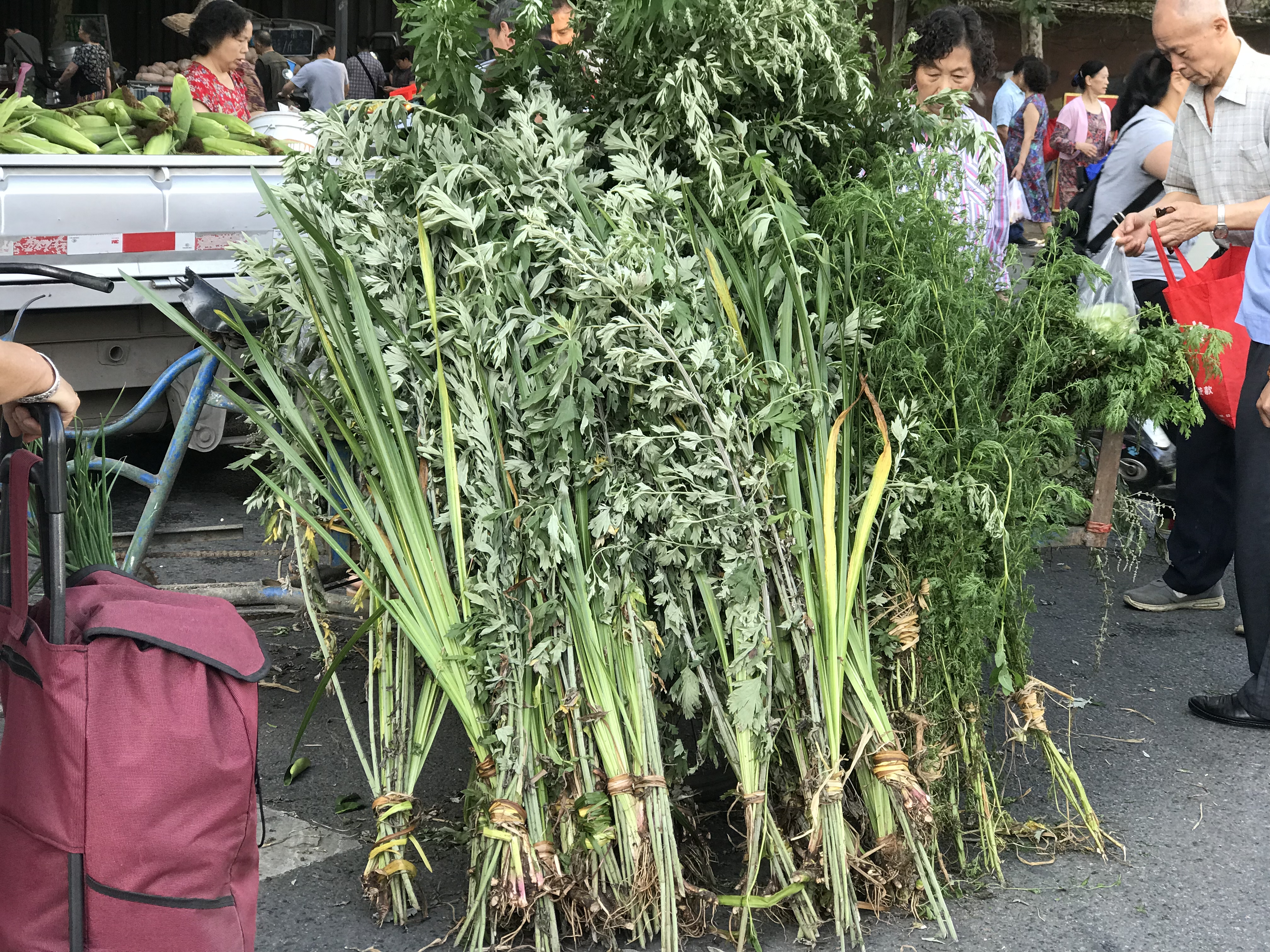 端午节来了4元一把的艾草菖蒲你买了吗？
