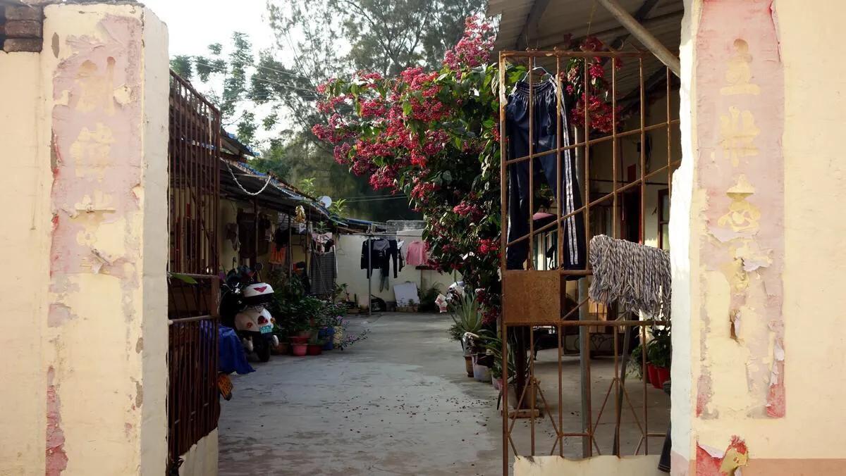 侨港边上的大、小老虎村,房租很低但住的人却很少,如今面临改造