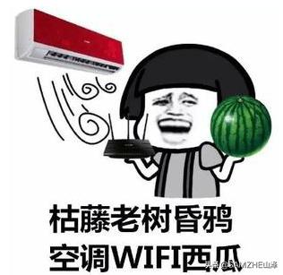 家里的网线会中病毒吗,网线断了自己接会触电吗