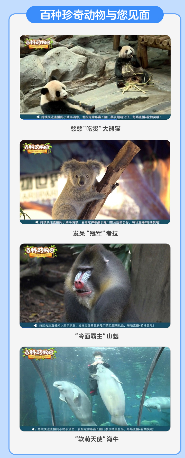 珍稀动物园游玩,神秘又神奇的动物园