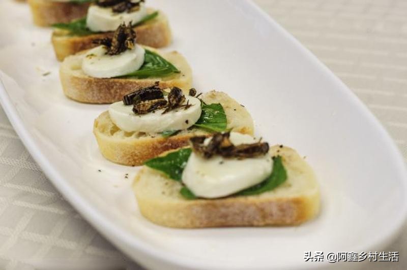 蟋蟀最高能卖多少元,蟋蟀赚钱