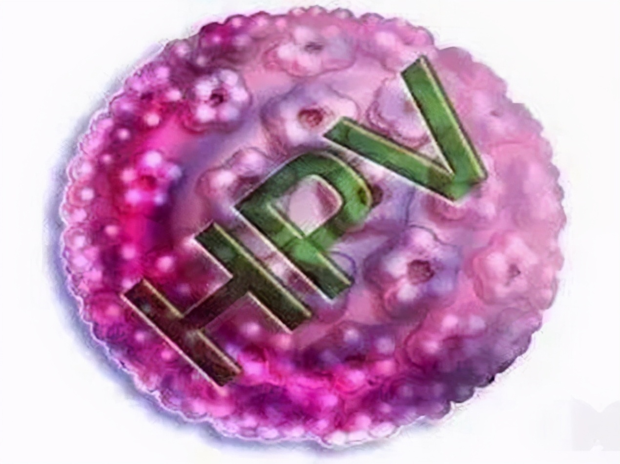 hpv16阳性是什么意思,hpv16阳性是什么意思tct重度炎症