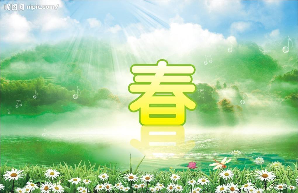 野草诗社全集视频,野草诗社简介