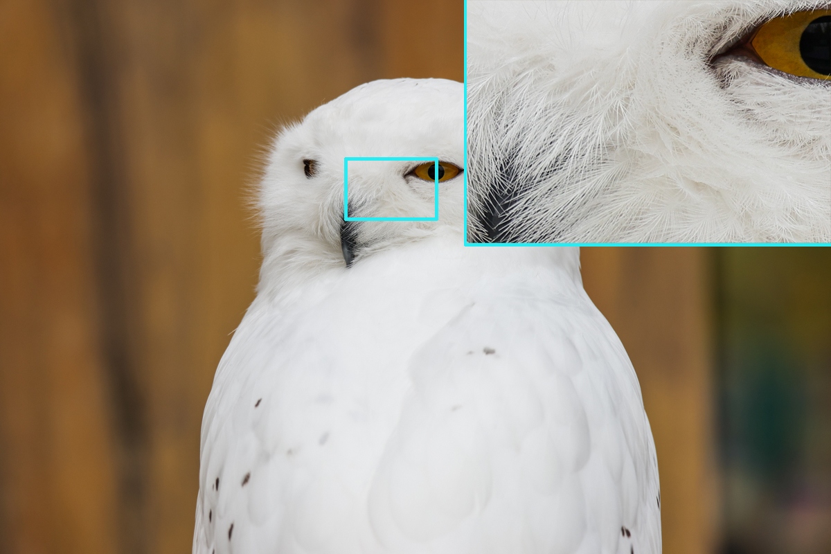 浣宠兘闀跨劍rf100-400,闀跨劍浣宠兘RF闀滃ご