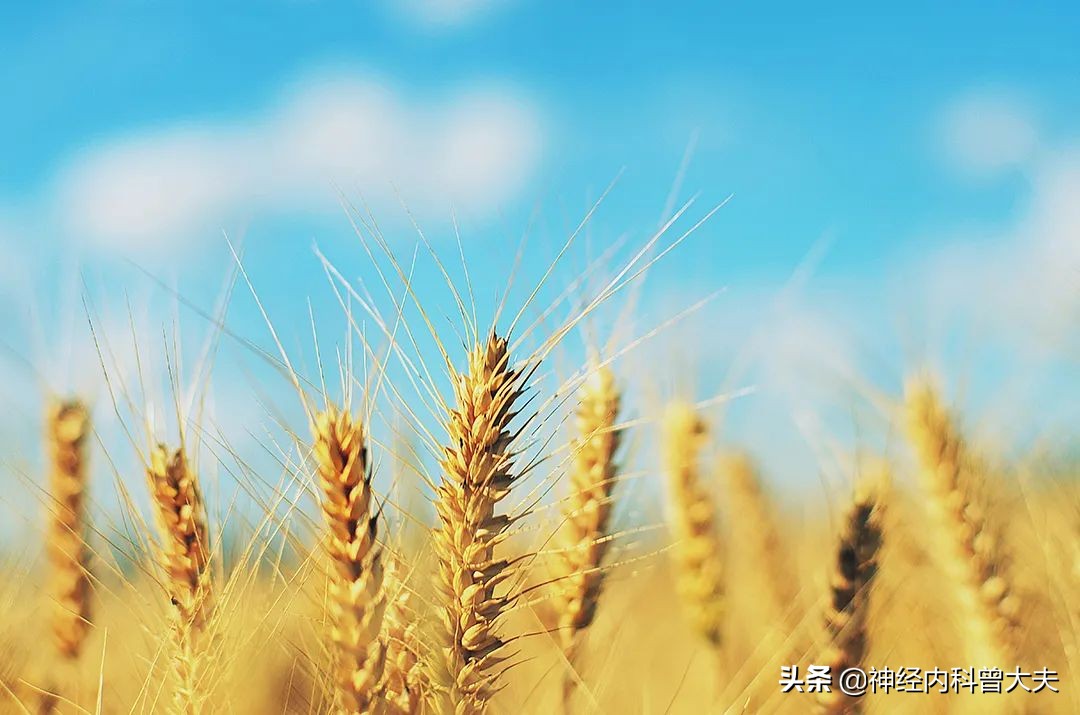 脑梗以后总是头晕是怎么回事,脑梗治疗后老是头晕是怎么回事