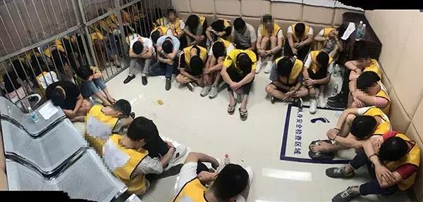 61位推荐转基因的专家,61名专家名单