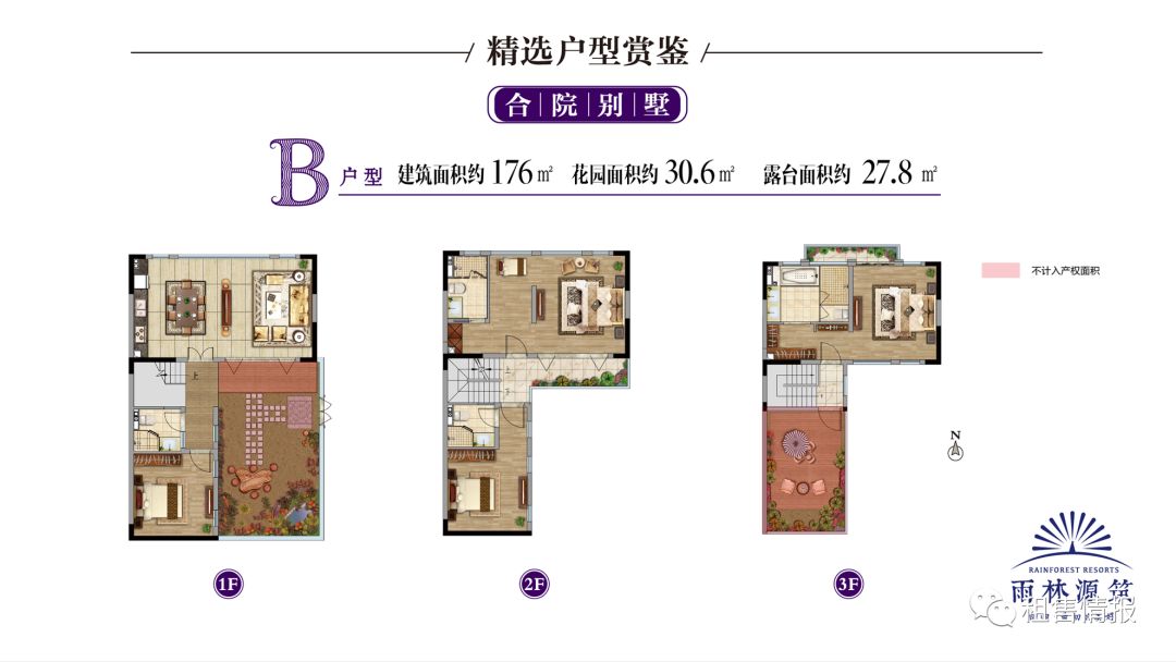 普洱茶分布在西双版纳,为什么西双版纳茶叶要叫普洱茶