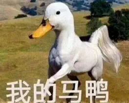 双十一之前的我,双11手忙脚乱购物分享