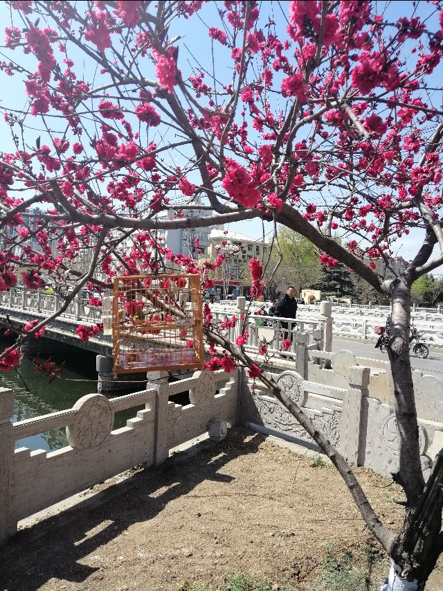 文爱绣眼武爱眉儒雅之处论收藏