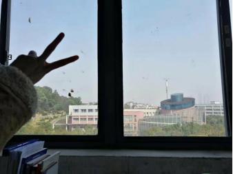 「司南考研经验贴」华南师范大学小学教育专业经验分享