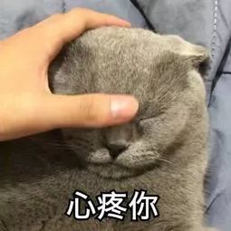 哪个年金险收益率最高,哪个年金最值得购买