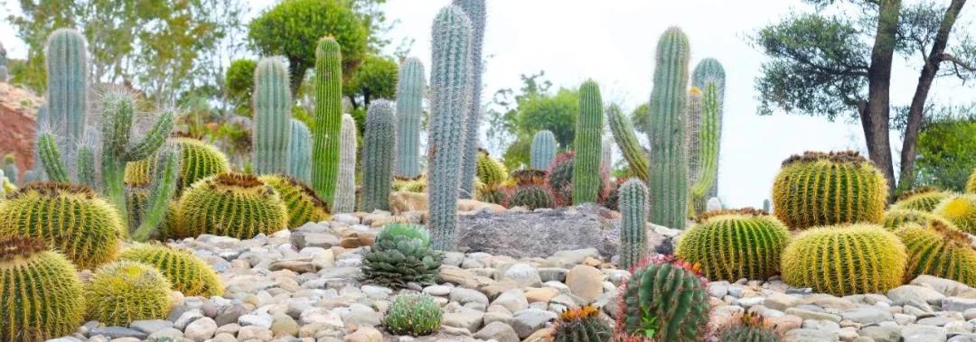 弥勒佛城在哪里,弥勒市佛城图片