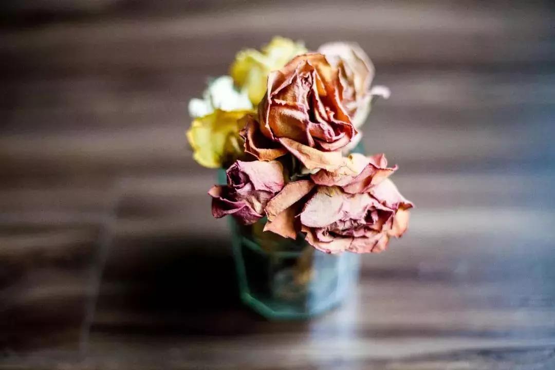 她用这种高颜值的干花装饰家里，隔壁邻居都惊叹不已