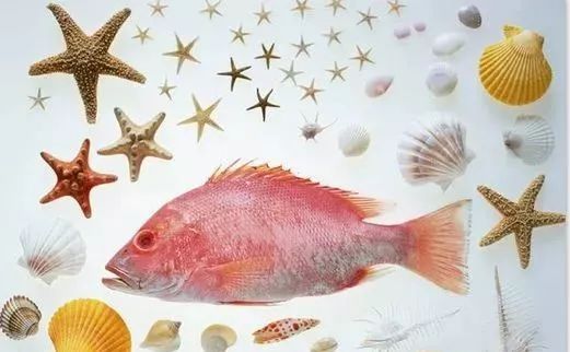 孕妇一天补充600毫克dha,孕妇需要补充什么牌子dha么