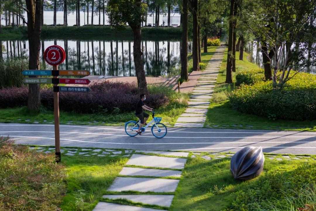 武汉华侨城湿地公园绿化,华侨城生态湿地公园武汉什么区