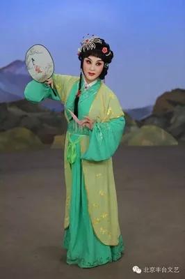 关汉卿戏剧中的文人形象共同点,关汉卿是一个怎样的浪子形象