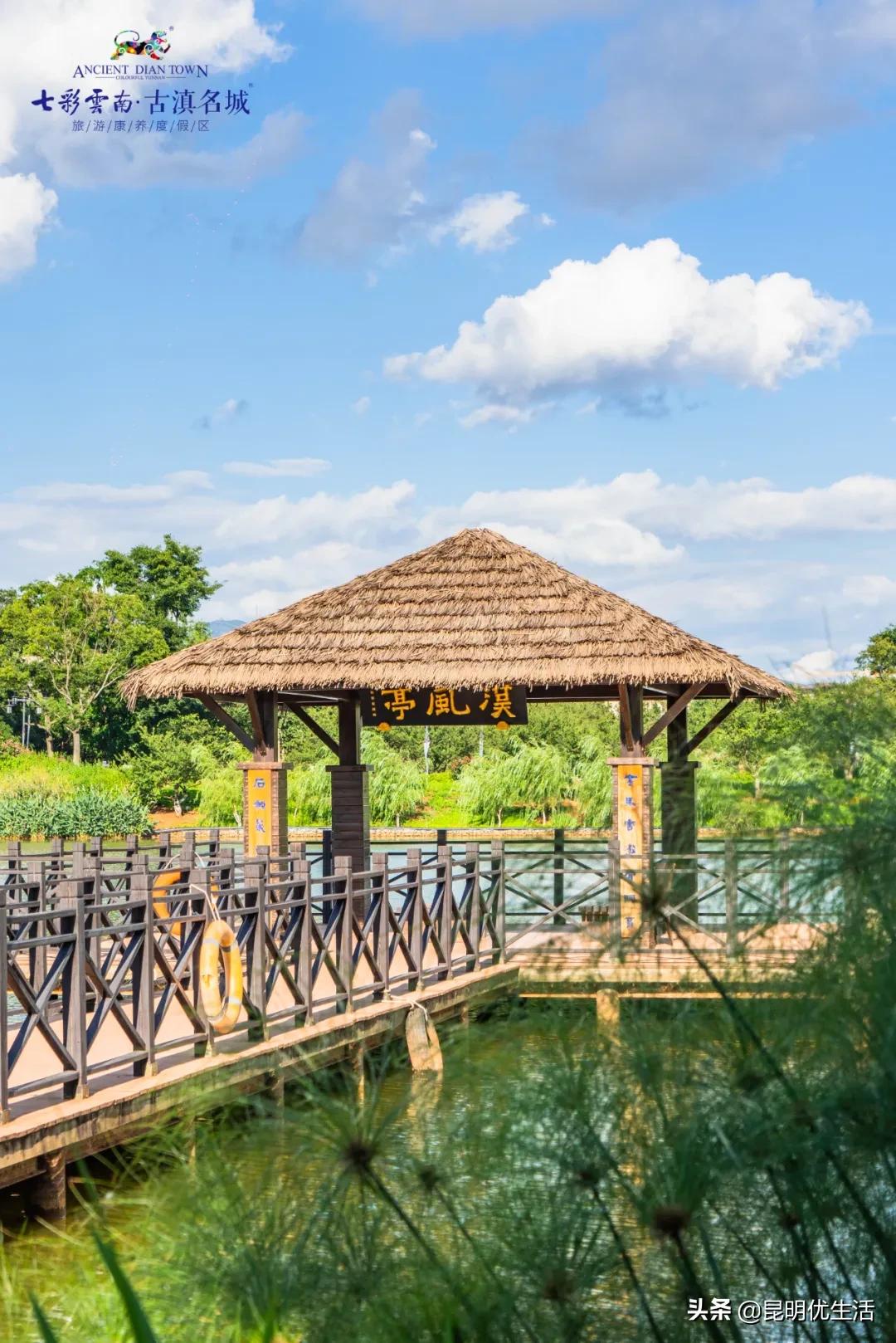 有特色的古滇美食,美食入滇记相关资讯