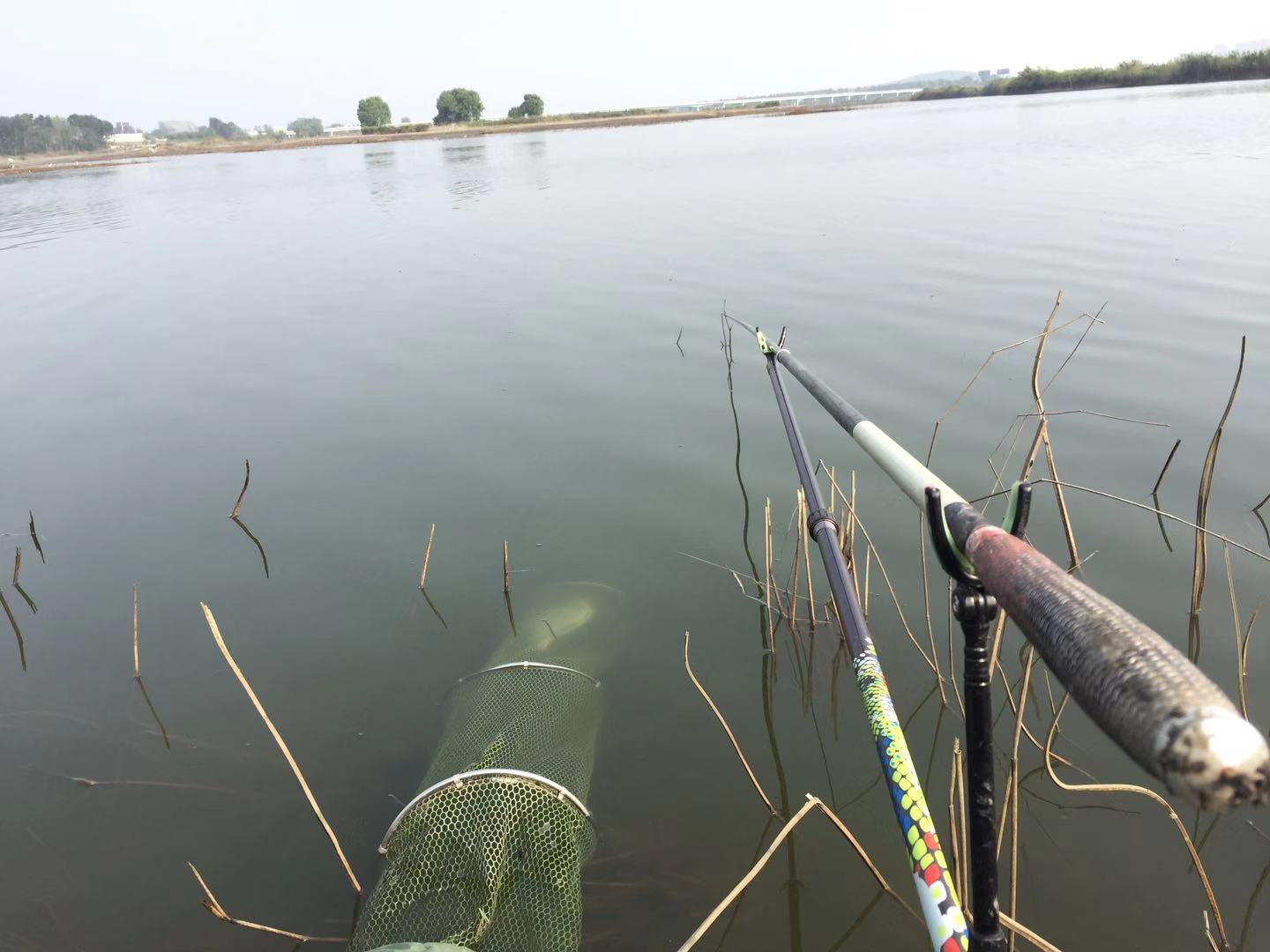 又是一年鳊鱼季，详解长江鳊鱼习性特点，你和高手间仅差一颗玉米