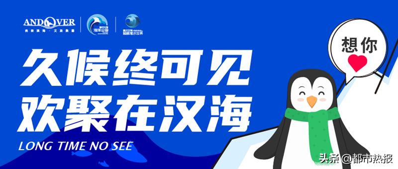 重庆汉海海洋公园水獭,重庆汉海水獭