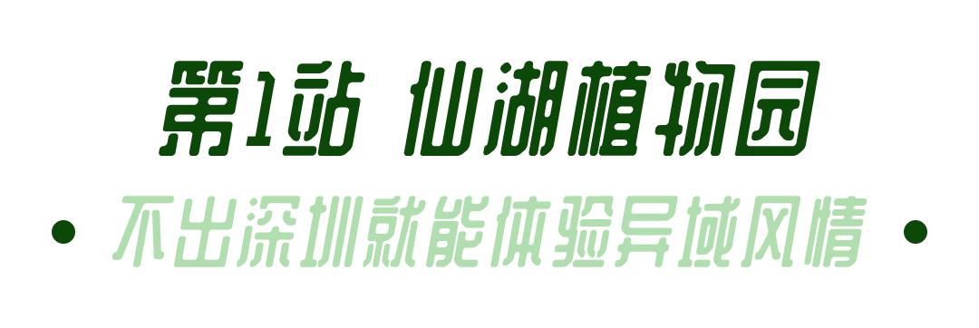 深圳吃喝玩乐两日游推荐,深圳周边游吃喝一日游推荐