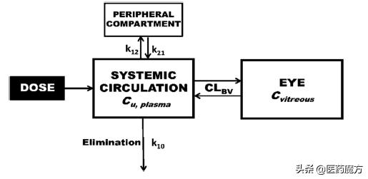 生物分析专栏|眼科用药的药代动力学和生物分析