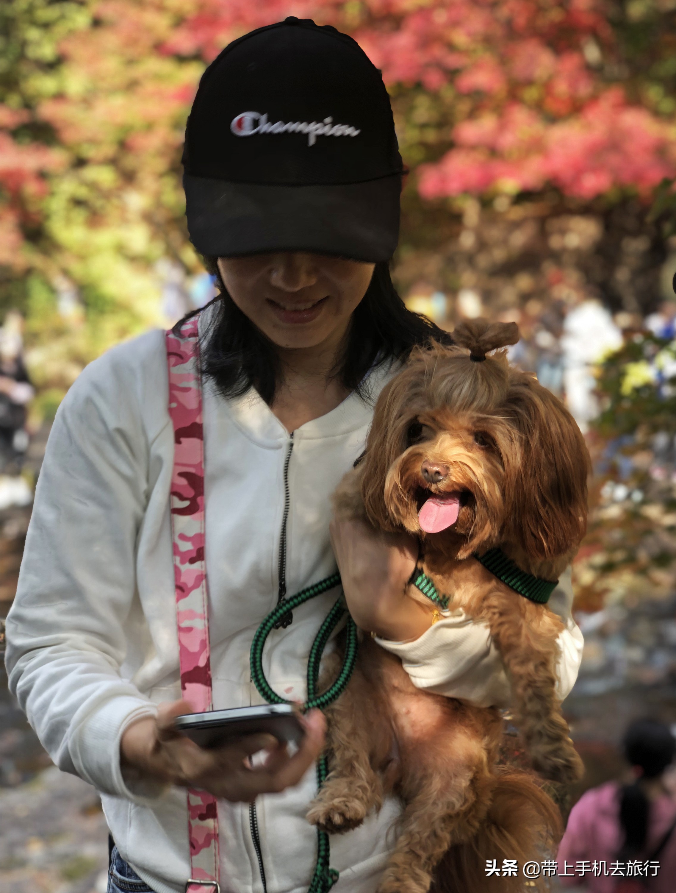 “减法”、虚化和“加法”,让画面瞬间干净简洁唯美