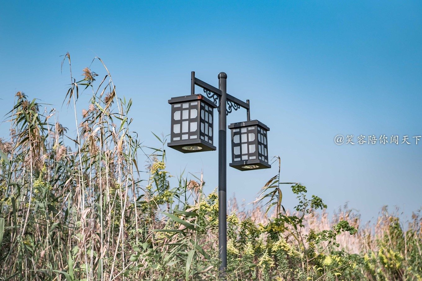 江南小众古镇视频,江南水乡小众又出名