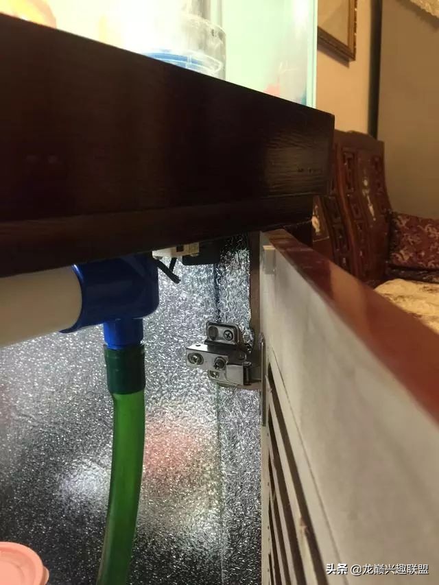 垃圾桶旁边的四方鱼缸,捡回去养了一缸金鱼,别说还挺不错