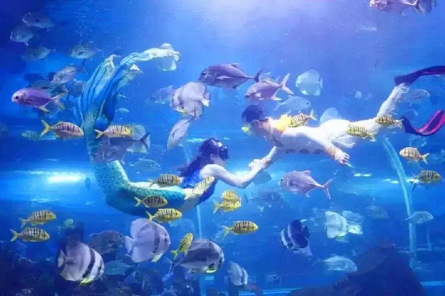 领上孩子父母一起去玩呀！长沙又一波特惠票来了！很值得一去哦