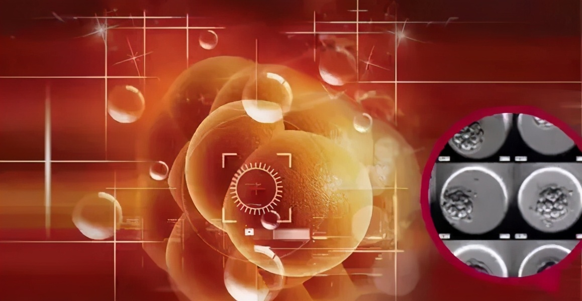 怎样才能提高卵子的质量和数量,如何短期内快速提高卵子质量