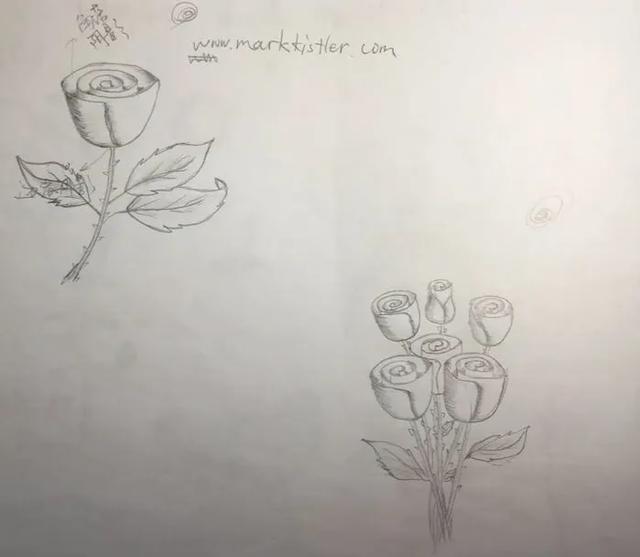 30天学会绘画从零基础入门,30天学会绘画系列套装