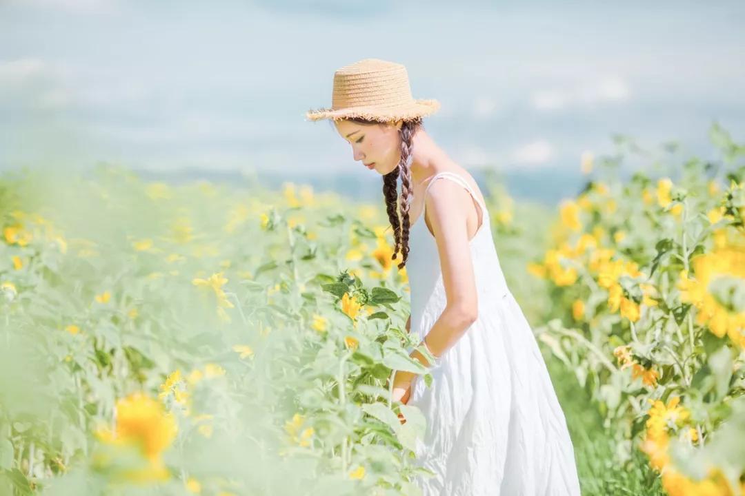 所有的美好都不负遇见深度好文,所有的美好都不负遇见散文