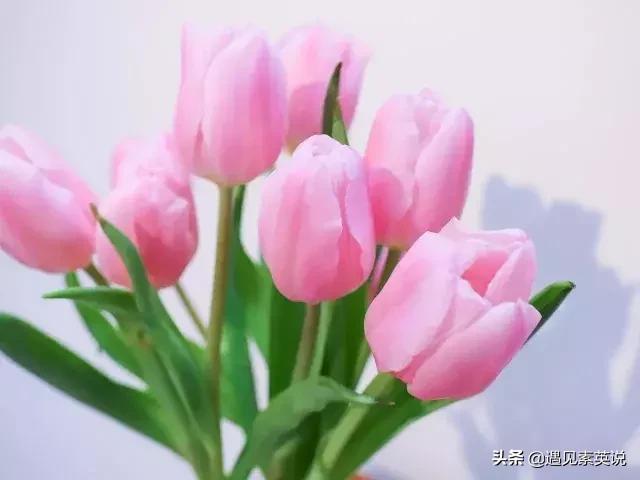 不花钱就难受的病怎么治,花钱专治不开心