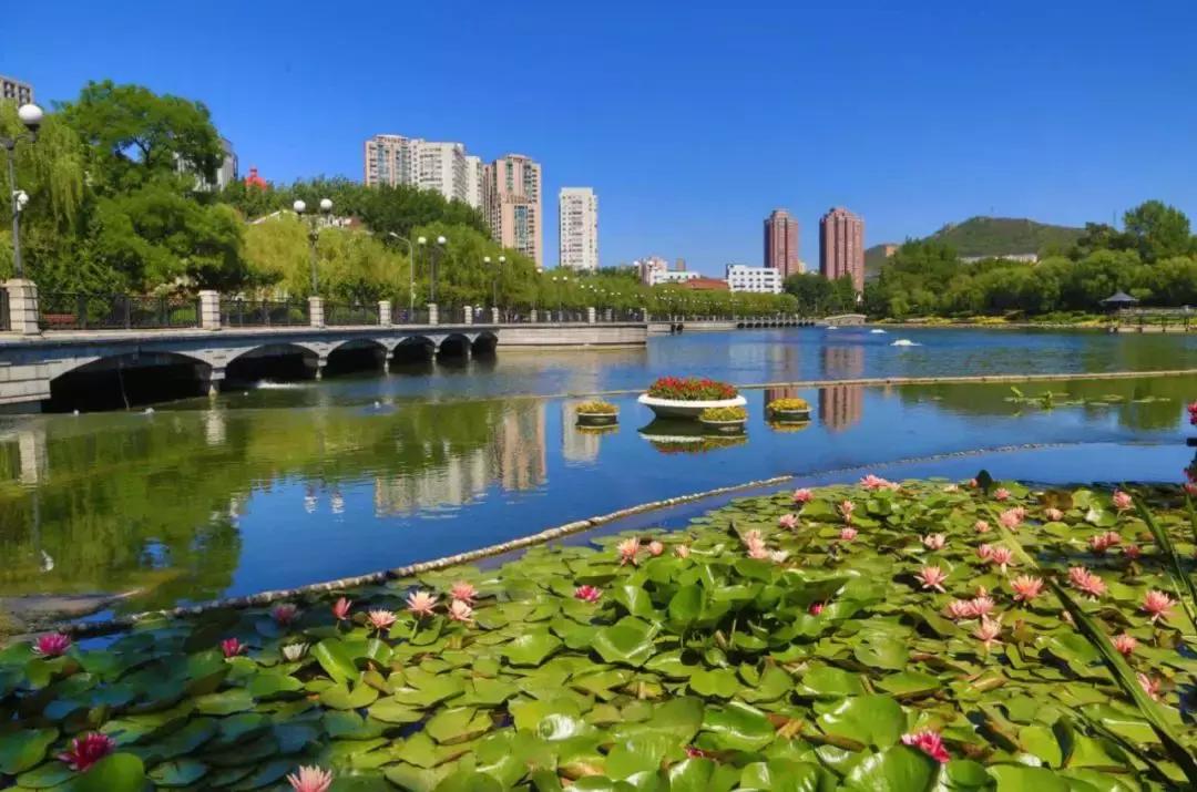 大连旅顺购房补贴标准和政策,旅顺购房补贴