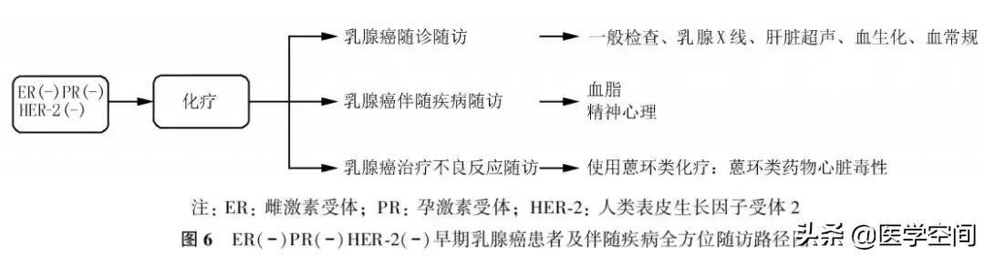 【指南与规范】乳腺癌随访及伴随疾病全方位管理指南