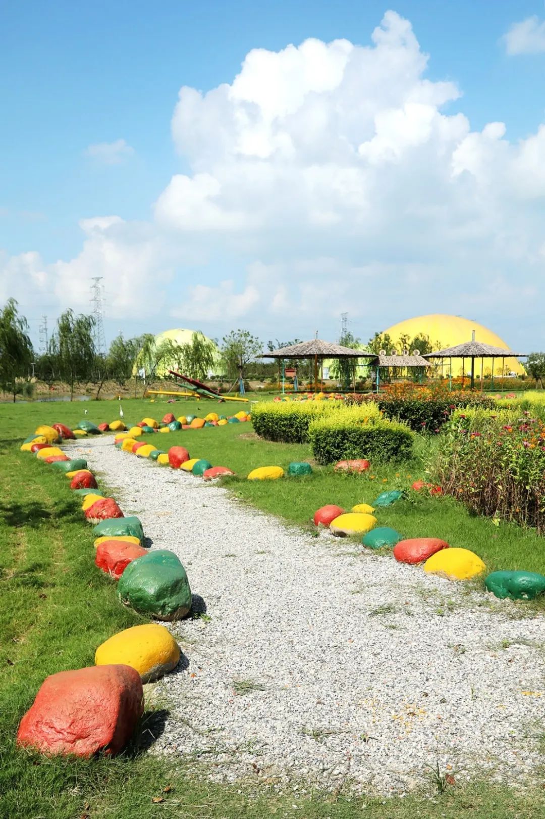 森氧之地,秋游必选!金湖万亩水上森林,真的别有趣味