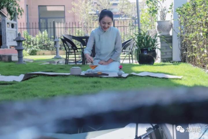 金骏眉被称为一款好茶,金骏眉茶价格