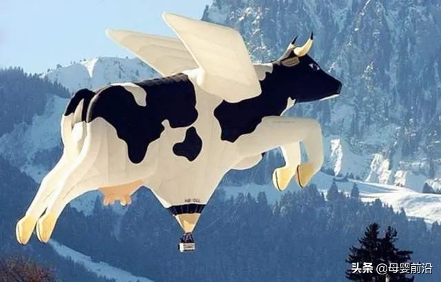 荷兰皇家美素力奶粉为什么断货,进口奶粉要涨价了吗