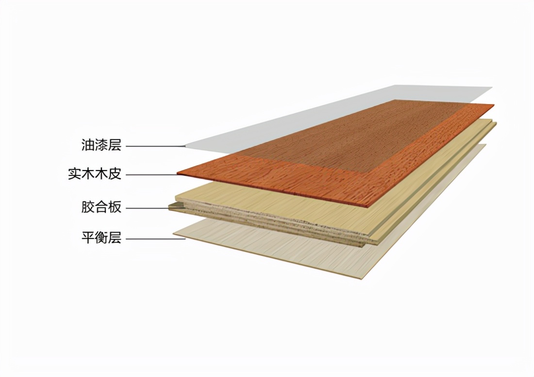 装修新人不知道选木地板还是瓷砖？5个点详细对比，学到就是赚到