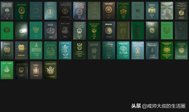 日本国护照有几种颜色,全球各国的护照有几种颜色