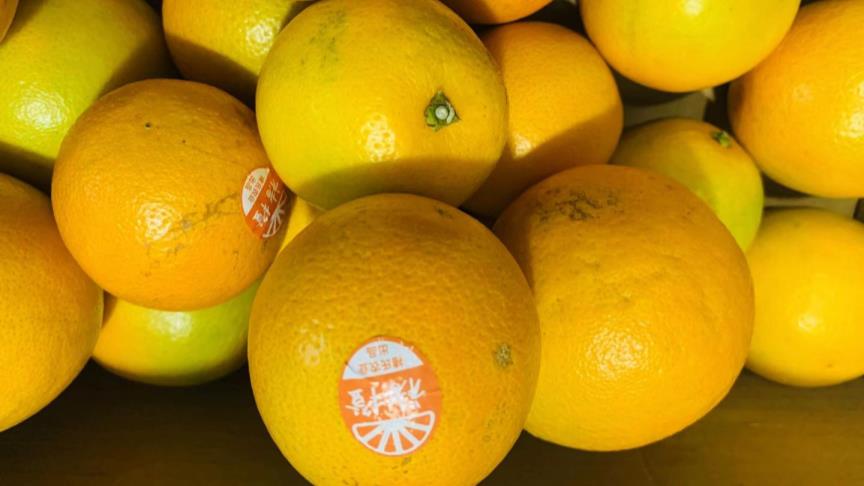 如何挑选质量好的柑橘,柑橘新品种层出不穷如何选择