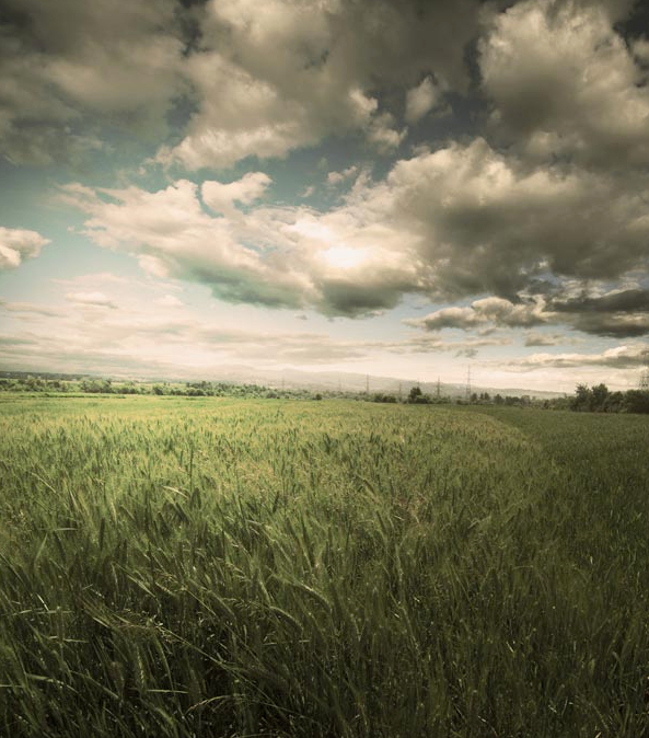 ps教程图层混合式模式讲解,ps图层混合模式的用法教程